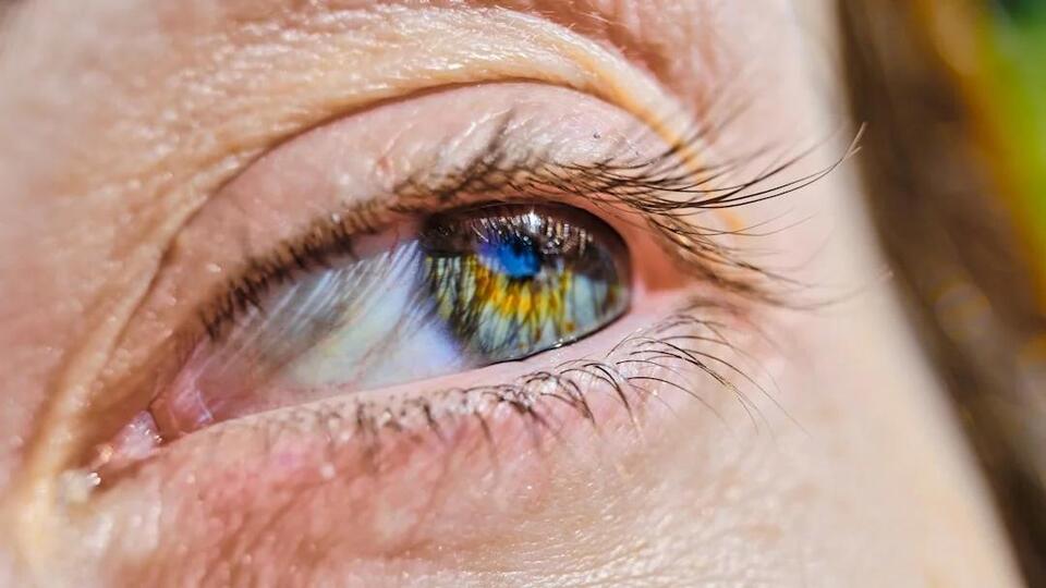 6 Scientific Truths About Our Senses - NewsBreak