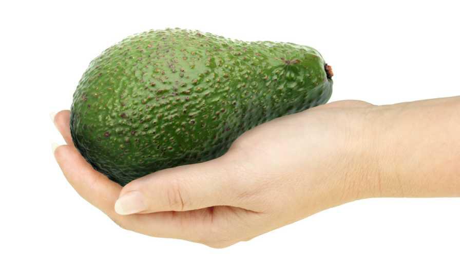 Why a Fortune Magazine Op-Ed Has California Avocado Growers Riled Up