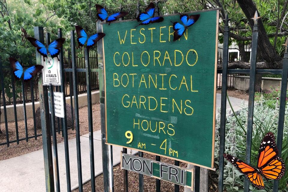 Discover The Butterfly House At Grand Junction's Botanical Garden ...