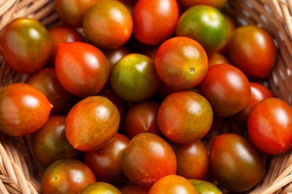12 Tomato Varieties That Are Too Good to Miss - NewsBreak