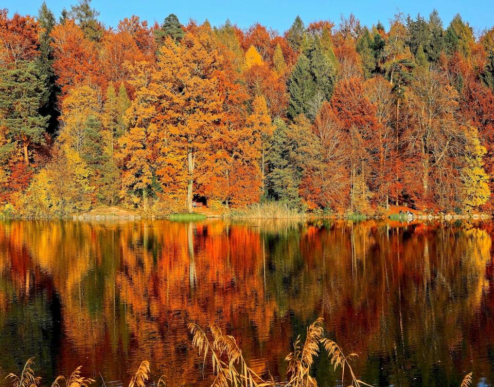 DNR Fall Color Finder Map Updates Thursdays Through October, Tracking ...