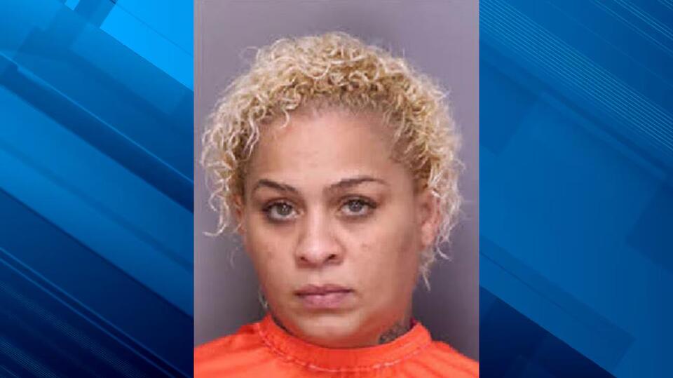 Woman charged after Florence County traffic stop leads to major ...