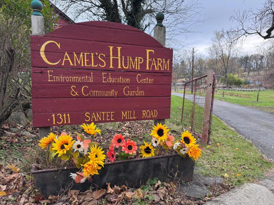Camel’s Hump Farm: Where Lehigh Valley kids learn to grow, build, and ...
