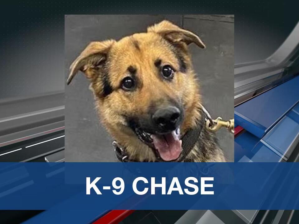K9 Chase joins Rolette County Sheriff’s Office team