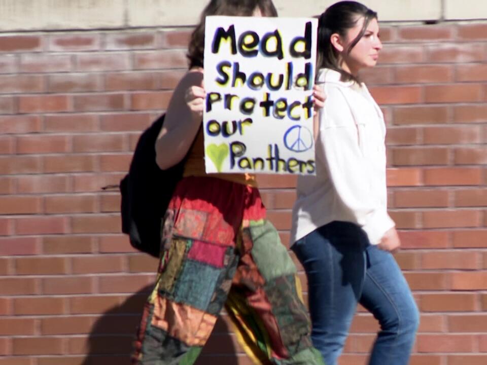 Mead High School students organize walk out in response to alleged