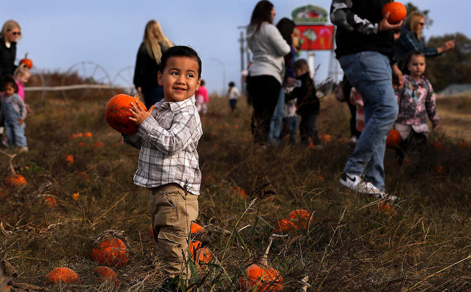 6 corn mazes, pumpkin patches and terrifying haunts near Tri-Cities ...