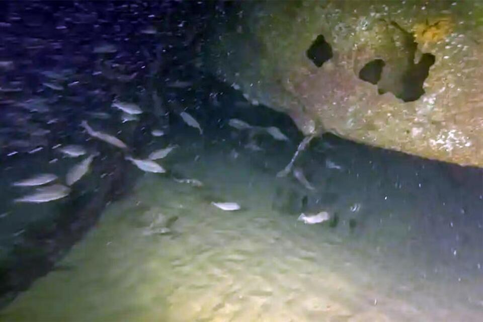 Divers discover missing German wartime submarine – 82 years on - NewsBreak