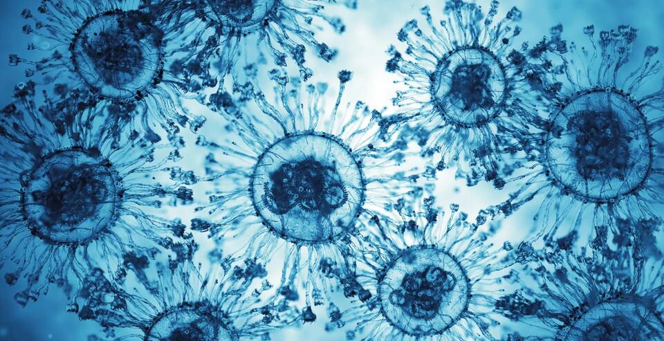Man Dies From Flesh-Eating Bacteria In Virginia Beach - NewsBreak