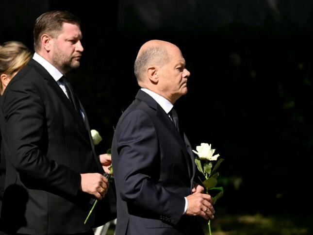 Scholz promises new weapons controls after Germany knife attack