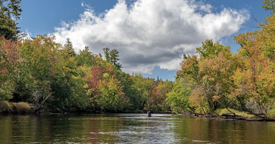 DEC and The Nature Conservancy Announce Completion of Raquette River ...