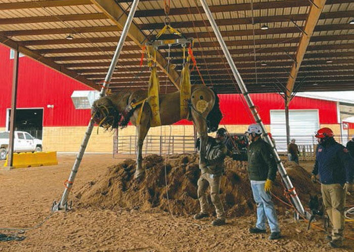 Patterson Fire Department Horse Rescue Team called into action