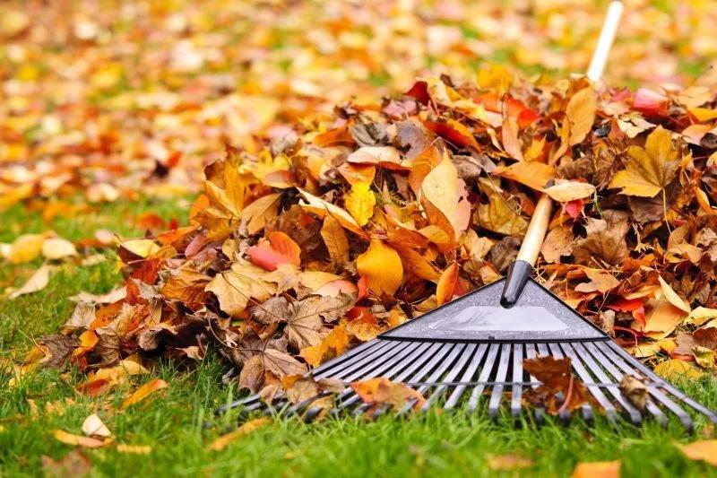 Tied for the longest dry stretch of the year in Syracuse! - NewsBreak