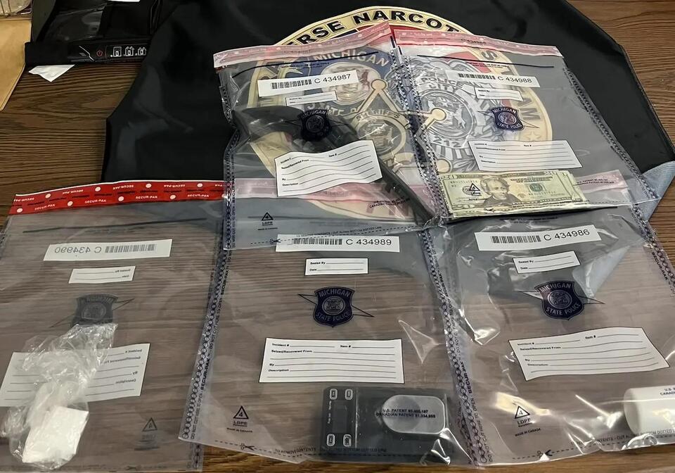 Big Rapids man, Hersey woman charged following Manton drug ...