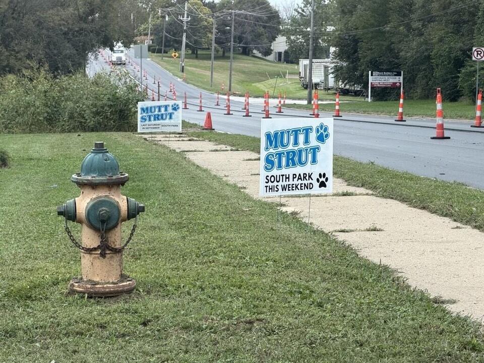 Annual Mutt Strut is coming back to the Gem City this weekend - NewsBreak