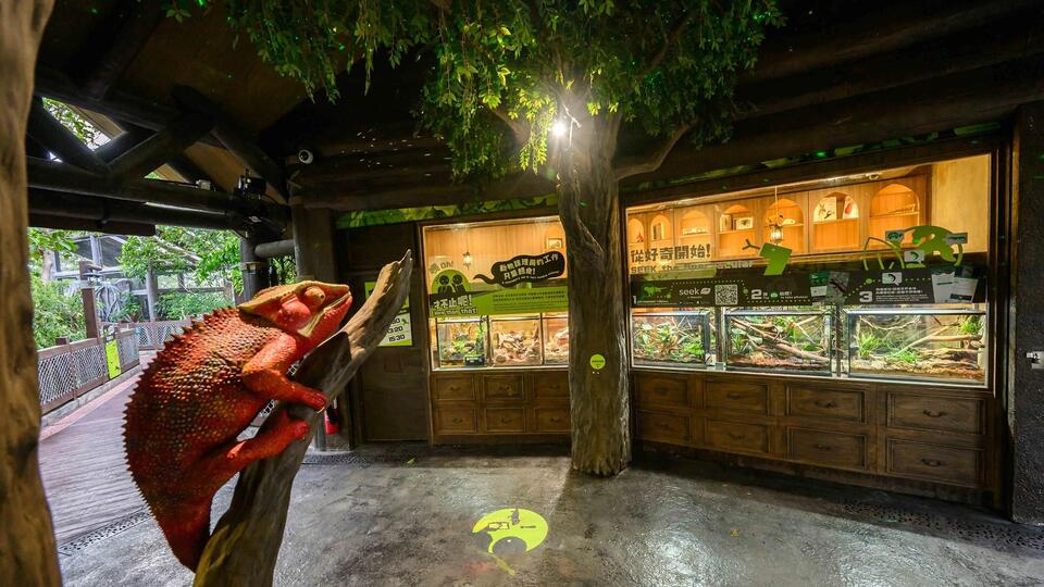 Ocean Park opens a new Reptile Territory to challenge negative stereotypes of these species