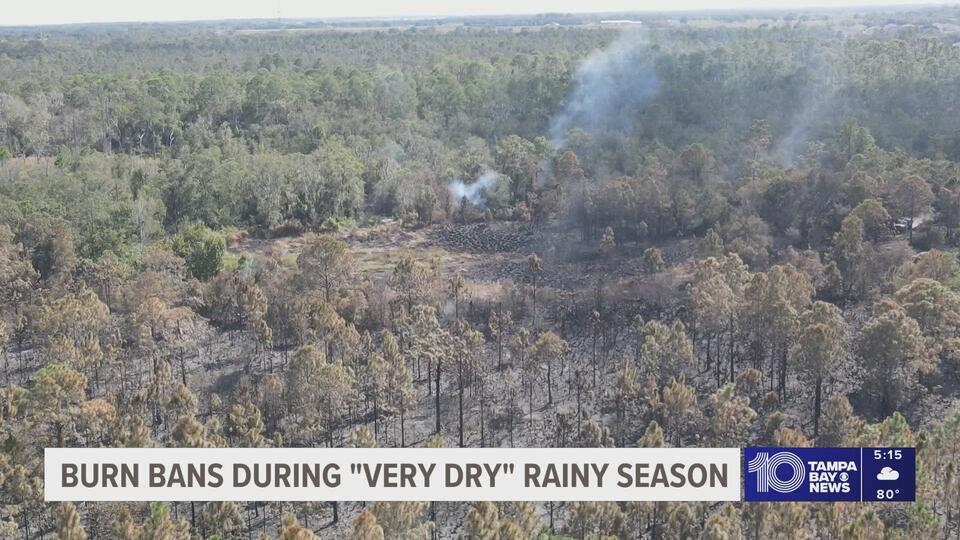 Following a 'very dry' rainy season, Tampa Bay areas have issued burn ...
