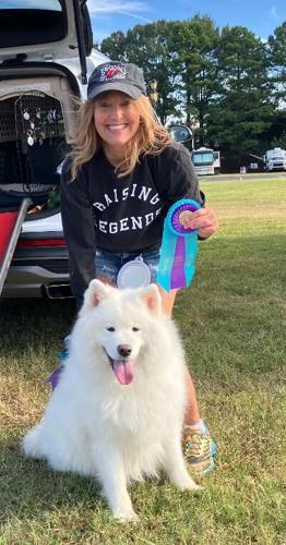 Warren County Samoyed dog maintains busy schedule of activities