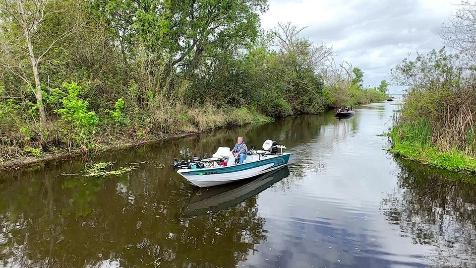 Lake Yale cleanup underway as officials battle high phosphorus levels ...