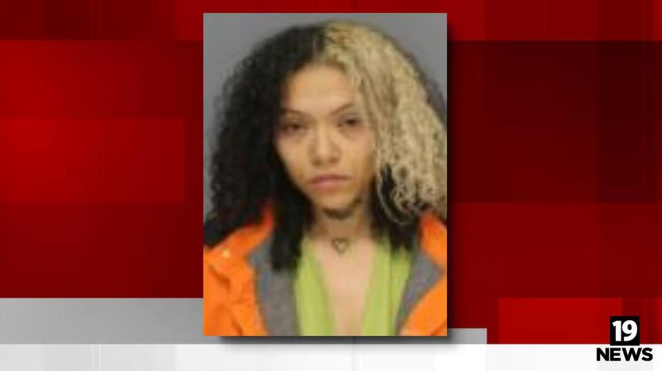 26-year-old Medina woman arrested after man shot in the head - NewsBreak