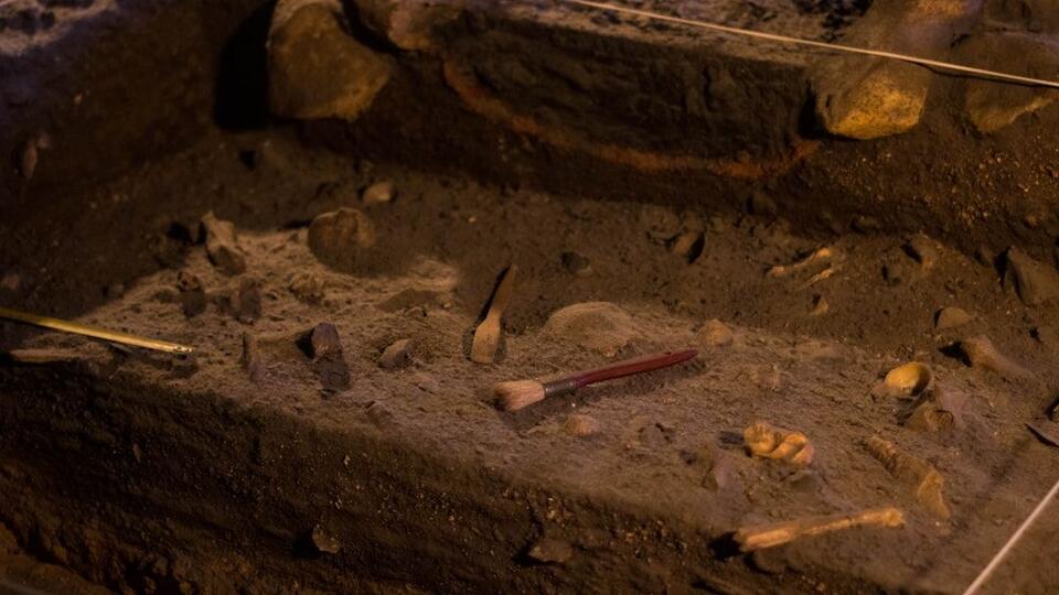 Prehistoric Pyre’s Fiery Legacy: Rare Cremation Site Emerges at ...