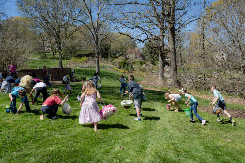 Cheekwood Hosts the Great Spring Art Hop this Weekend - NewsBreak