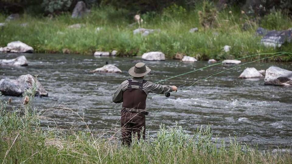 New Oregon Law Requires Fish to Verbally Consent Before Being Caught ...