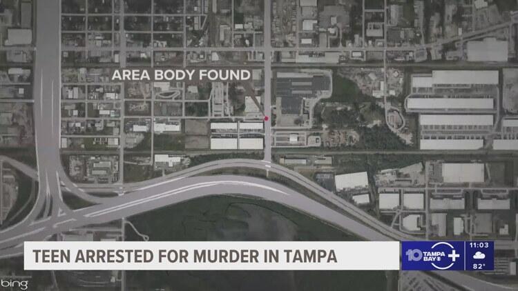 17-year-old charged with murder after body found in vacant Tampa lot ...
