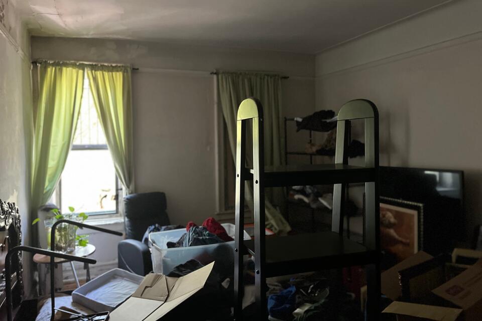 Leaders of Vienna, an Oasis of Affordable Housing, Tour NYC's Grim Offerings