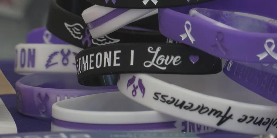 Local non-profit provides support for domestic violence - NewsBreak