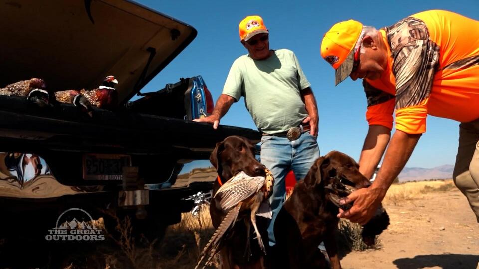 Veterans find camaraderie in the field during Oregon's pheasant hunt season