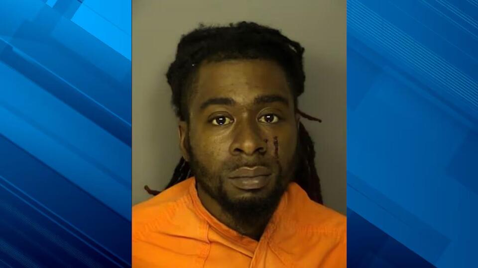 Reports: Horry County man holds victim at gunpoint before police chase ...