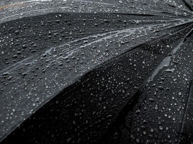 Ganado Daily Weather Forecast