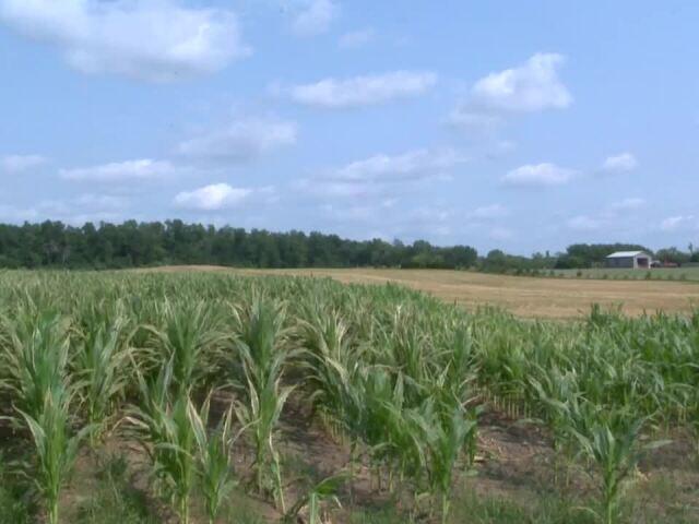 Byron Township board rejects 58-acre housing development