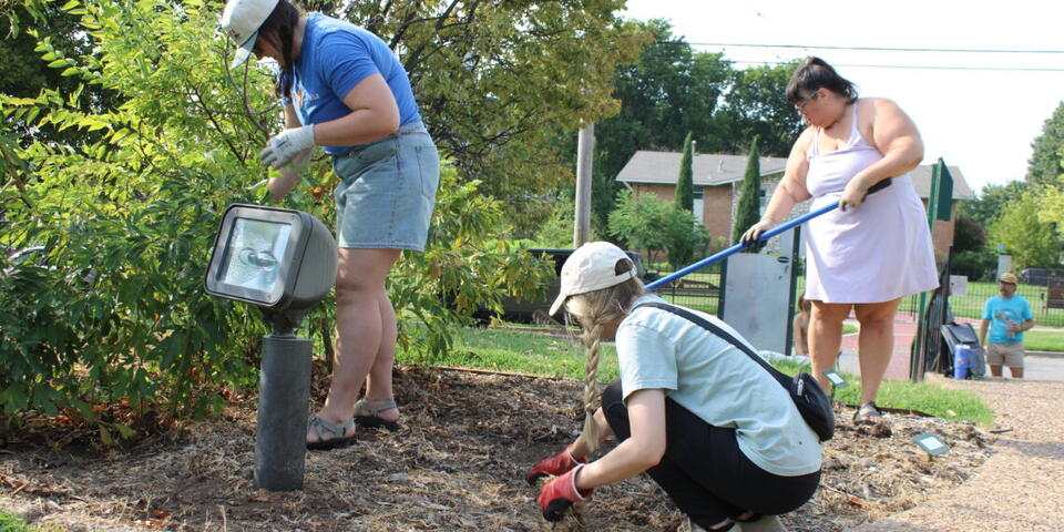 Volunteers get their hands dirty for Council Oak