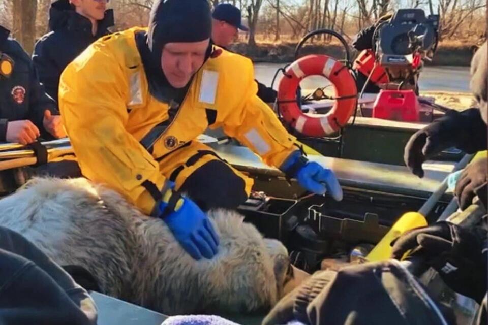 First Responders Rescue Dog from the Banks of the Iowa River [VIDEO ...