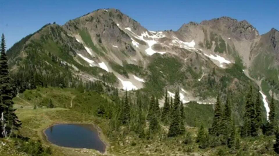 Body of hiker missing for 2 weeks recovered on Mt. Appleton in Olympic ...