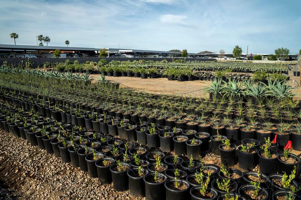 🔥 America’s AI Boom Is Creating an Unexpected Water Problem for Farmers