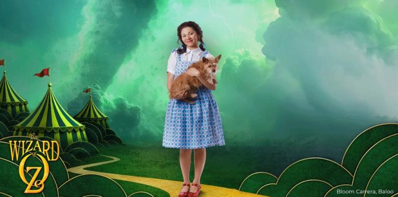 Reimagined ‘Wizard of Oz’ Adds Aerial Acts to the Emerald City - NewsBreak