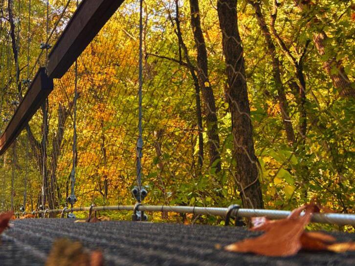 See fall colors from 65 feet in the air at Hidden Lake Gardens in