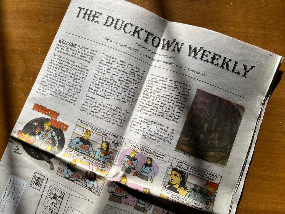 Comic strips … in print? A look at The Ducktown Weekly and other ‘zine ...