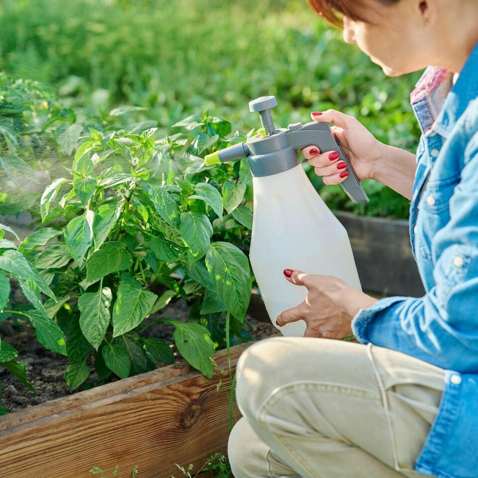 These Organic Pest Control Products Actually Work — Without Harsh Chemicals