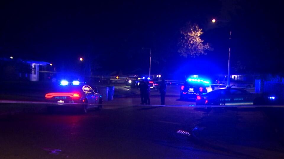 Man admits to pulling trigger in deadly Parkway Village shooting ...