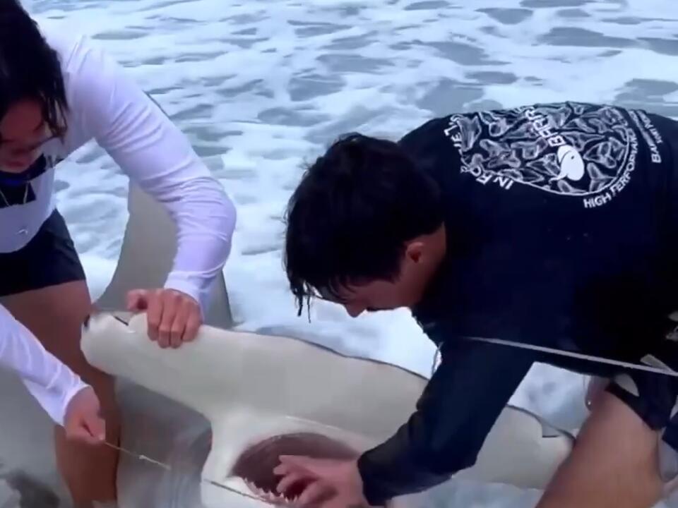 What do you do in this situation? Hooked up, two minutes later it jumps