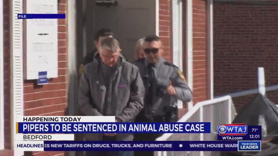 Sentencing due for couple in Bedford County animal abuse case - NewsBreak