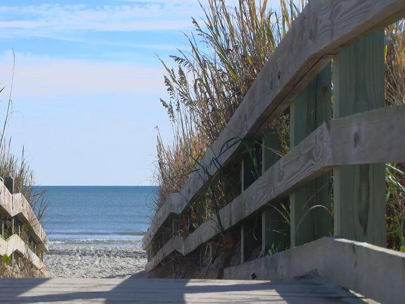 North Myrtle Beach aims to create living shoreline with community’s help