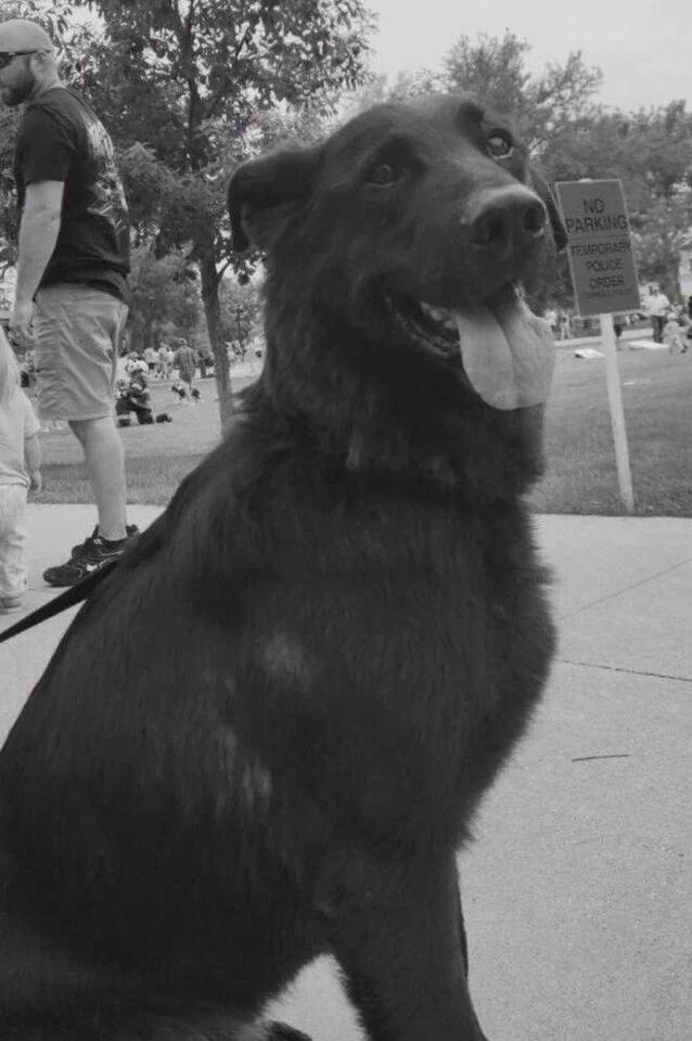Retired K9 sheriff’s deputy dies