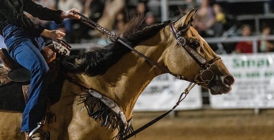 College Cowboy, 18, Paralyzed After Shattering Vertebrae in Rodeo ...