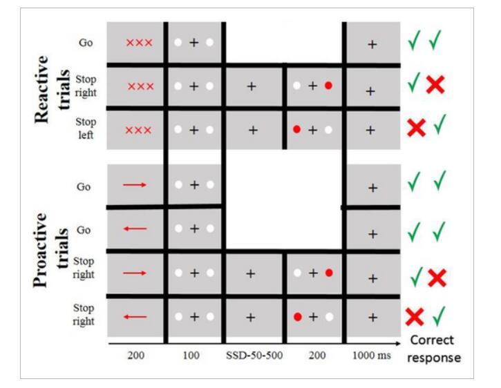Early Sensory Slowing, Preserved Control: Trait‑Anxiety Alters Visual ...