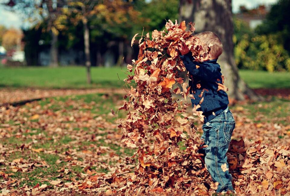 Is Burning Leaves Illegal in New York State? - NewsBreak