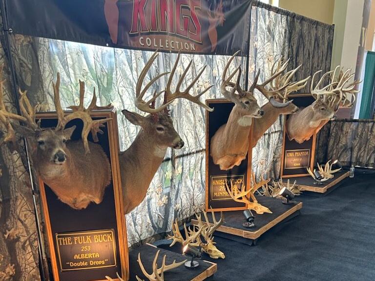 World’s Outstanding Whitetails display makes return at Expo